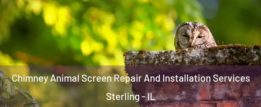 Chimney Animal Screen Repair And Installation Services Sterling - IL