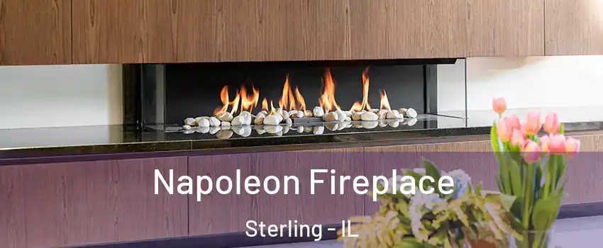  Napoleon Fireplace Sterling - IL